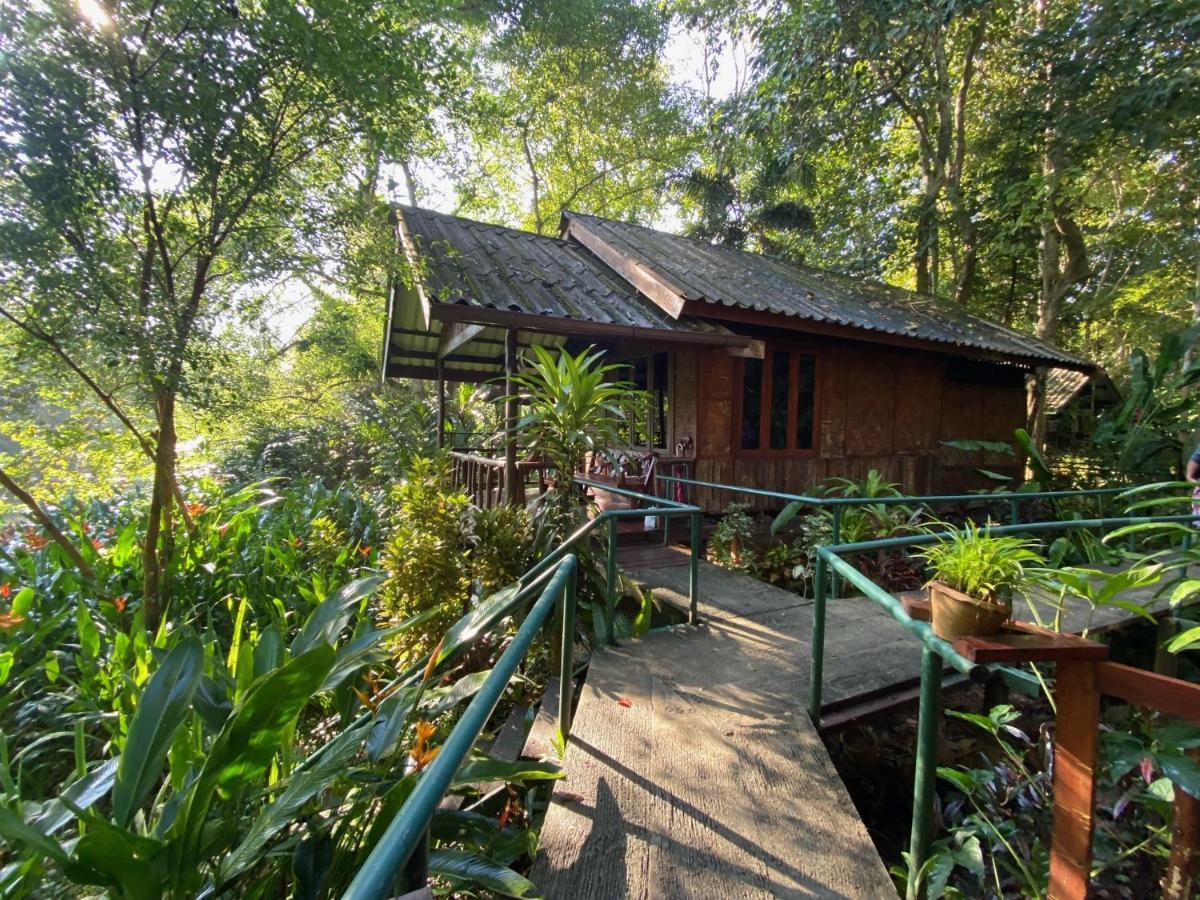 Khao Sok Riverside Cottages Khao Sok National Park エクステリア 写真