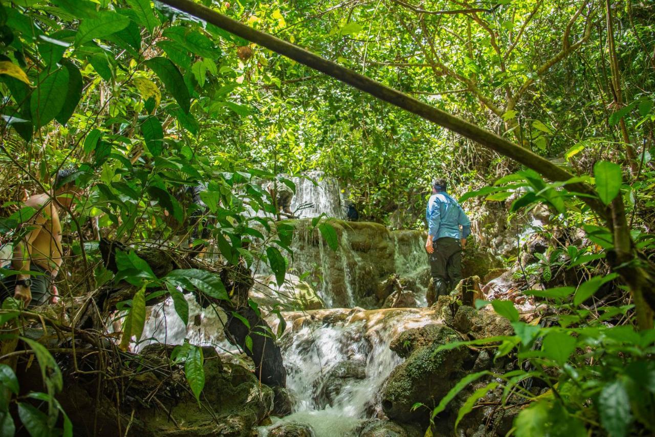 Khao Sok Riverside Cottages Khao Sok National Park エクステリア 写真