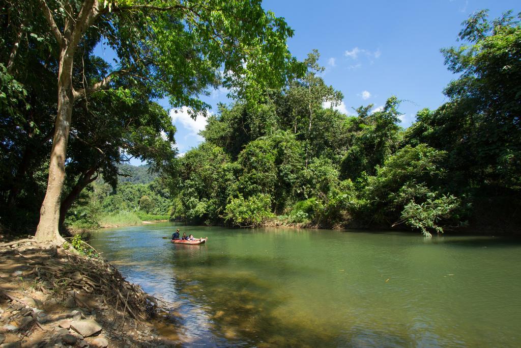 Khao Sok Riverside Cottages Khao Sok National Park エクステリア 写真